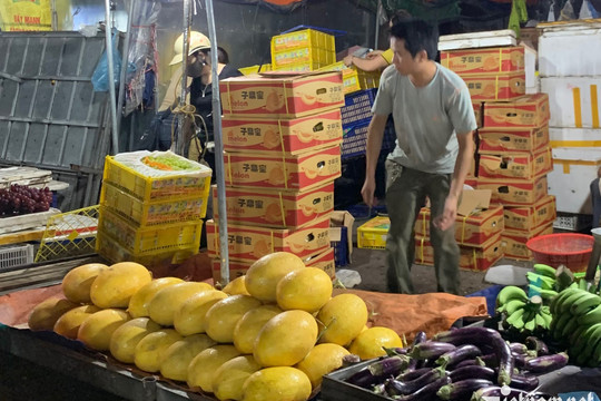 Top đầu thế giới, dưa lưới Trung Quốc lăn tràn chợ Việt