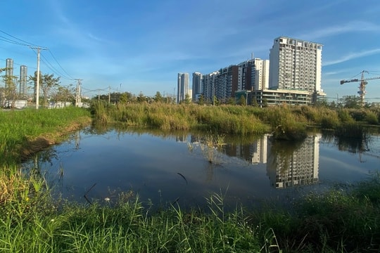 "Hãy nghe ngóng, không nên vay mua bất động sản lúc này"