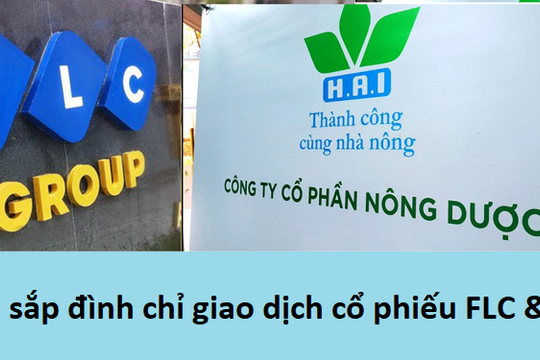 'Đế chế' Trịnh Văn Quyết sụp đổ, loạt công ty liên quan phải giải trình