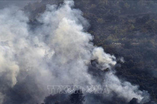 Điện thăm hỏi cháy rừng tại Algeria