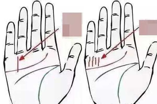 Với đường chỉ tay 'phát tài phát lộc' này, bạn sẽ có số mệnh giàu sang, quyền quý cả đời
