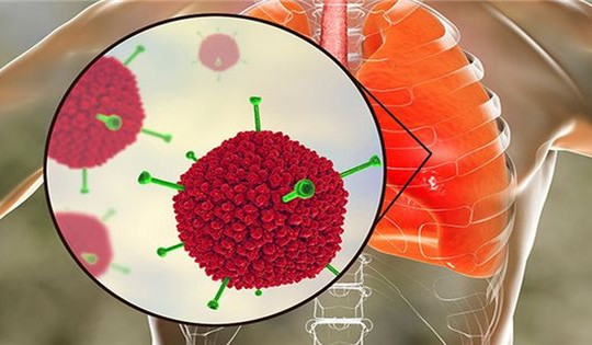 Các biện pháp phòng bệnh gây ra do Adenovirus