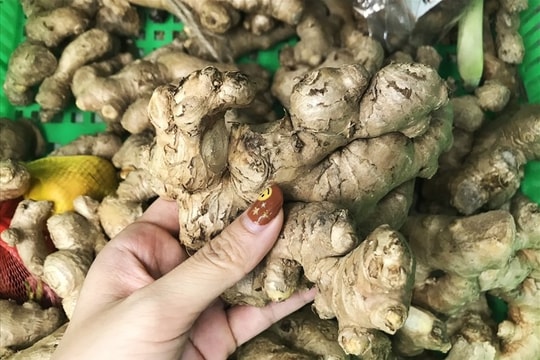 5 cách dùng gừng trị tiêu chảy