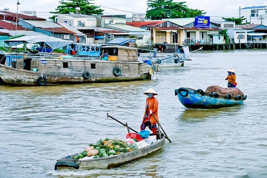 Thương hồ bỏ đi, nguy cơ mất chợ nổi Cái Răng