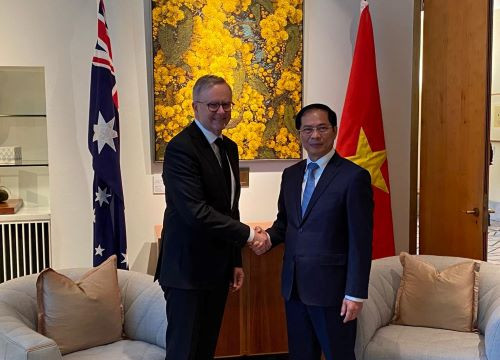 Bộ trưởng Bùi Thanh Sơn chào xã giao Thủ tướng Australia Anthony Albanese