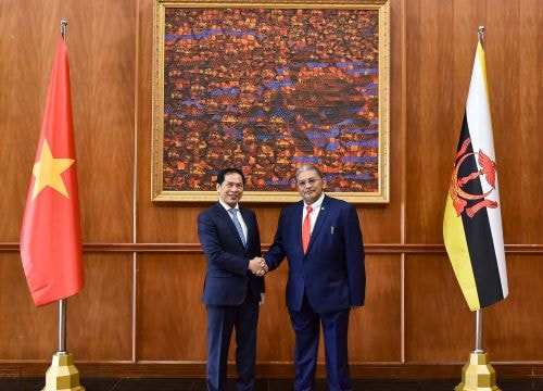 Bộ trưởng Bùi Thanh Sơn thăm chính thức Brunei Darussalam và đồng chủ trì kỳ họp lần thứ 2 Uỷ ban hỗn hợp về Hợp tác song phương Việt Nam – Brunei