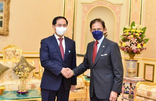 Bộ trưởng Bùi Thanh Sơn tiếp kiến Quốc vương Brunei Darussalam Sultan Haji Hassanal Bolkiah