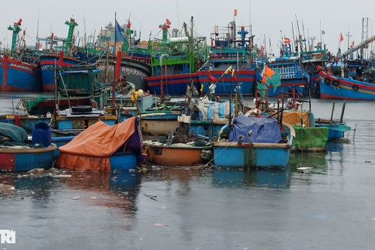 Di dời hơn 1.000 tàu cá tại biển Quy Nhơn để phát triển du lịch