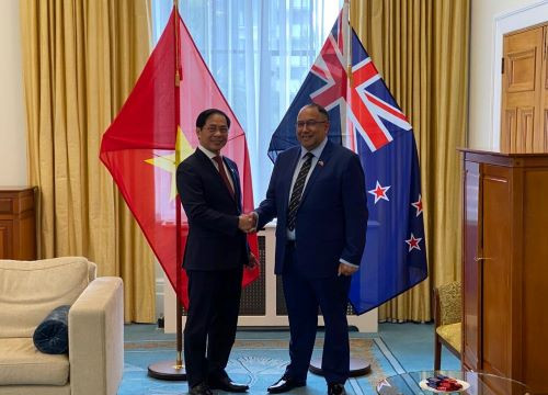 Bộ trưởng Bùi Thanh Sơn chào xã giao Chủ tịch Quốc hội New Zealand Adrian Rurawhe
