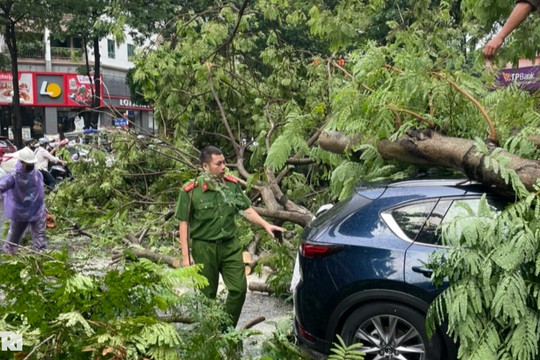 Mazda CX5 bị cây đổ đè trúng trên phố Hà Nội trong trận mưa dông lớn