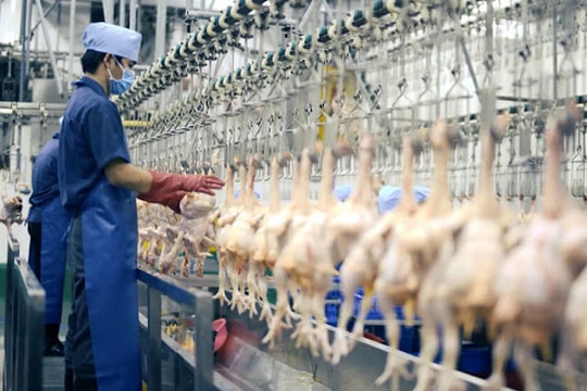 Doanh nghiệp quay cuồng giữa 'bão' giá nguyên liệu đầu vào
