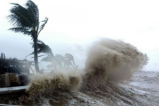 Dự báo bão Noru là một trong những cơn bão mạnh nhất 20 năm qua