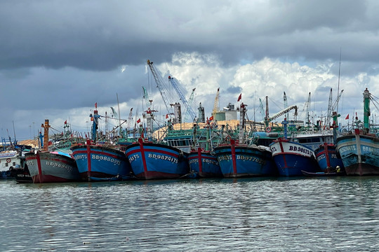 Ứng phó với bão Noru, Bình Định nghiêm cấm tàu cá xuất bến