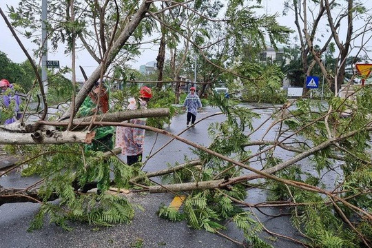 Cập nhật bão Noru: Khắc phục hậu quả sau bão, không để người dân đói rét