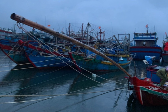 Cập nhật thông tin về 60 ngư dân bị mắc kẹt khi bão Noru áp sát Đà Nẵng