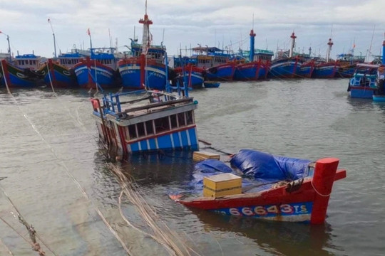 Bão Noru đánh đắm nhiều tàu thuyền ở đảo Lý Sơn
