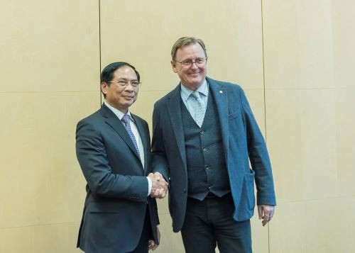 Bộ trưởng Bùi Thanh Sơn gặp Chủ tịch Hội đồng Liên bang Đức kiêm Thủ hiến Bang Thuringia Bodo Ramelow