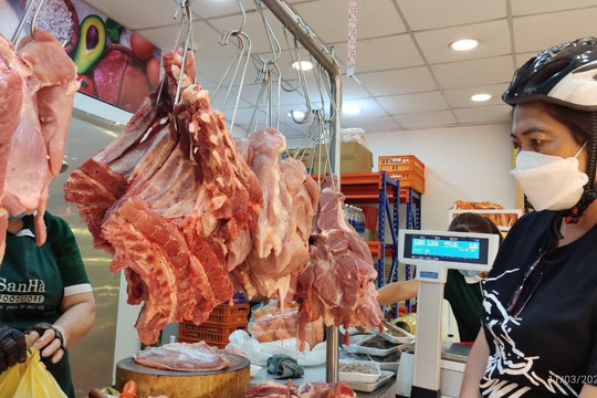 Giá thịt lợn hơi nội địa tiếp tục đà giảm, năng lượng tăng