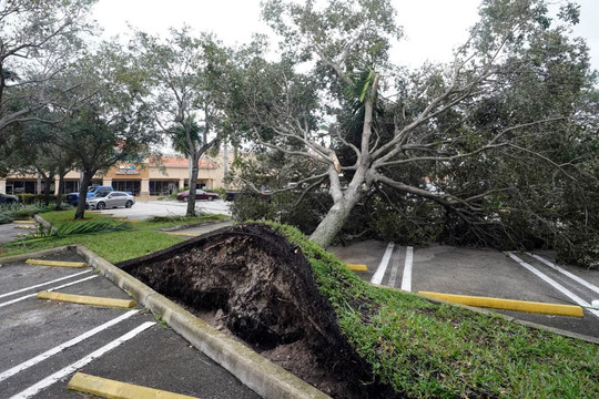 Video, hình ảnh Florida ‘trần mình’ hứng cơn bão mạnh thứ 5 lịch sử nước Mỹ