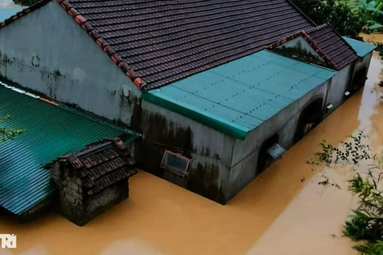 7 người chết vì mưa lũ ở Nghệ An
