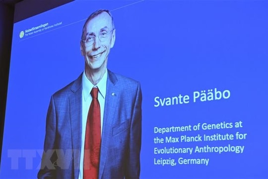 Nobel Y sinh tôn vinh phát hiện về quá trình tiến hóa của loài người