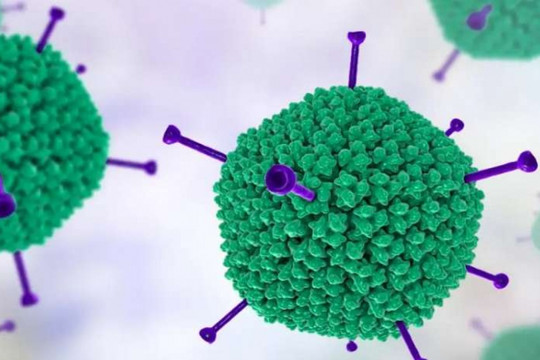Chuyên gia: Không xét nghiệm tràn lan Adeno virus ở trẻ em