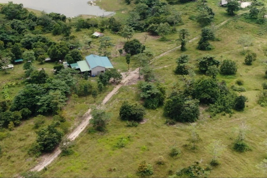 Nguyên Bí thư Tỉnh ủy Đắk Lắk: 'Tôi không lấn chiếm rừng'