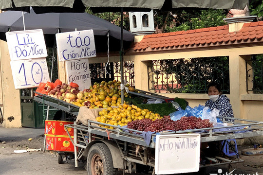Trái cây ngoại ồ ạt về chợ Việt, có loại giá rẻ hơn rau