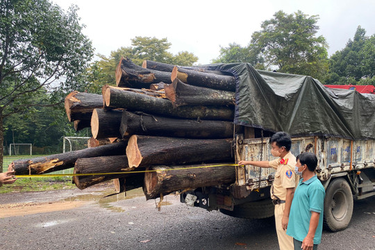 Đồng Nai: Khởi tố nhóm 'cò' bao xe quá tải qua Trạm CSGT Suối Tre