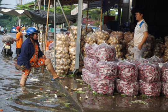 Chợ đầu mối nông sản lớn nhất TPHCM hóa chợ nổi ngày triều cường đạt đỉnh