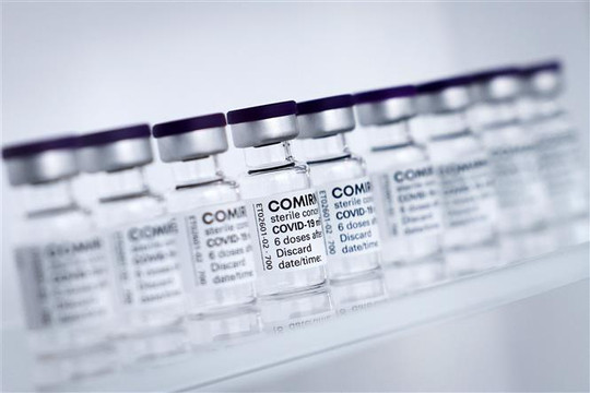 Pfizer/BioNTech cập nhật kết quả thử nghiệm lâm sàng vaccine cải tiến