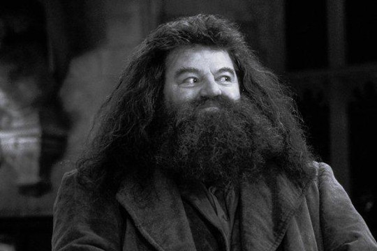 'Bác Hagrid' của Harry Potter qua đời