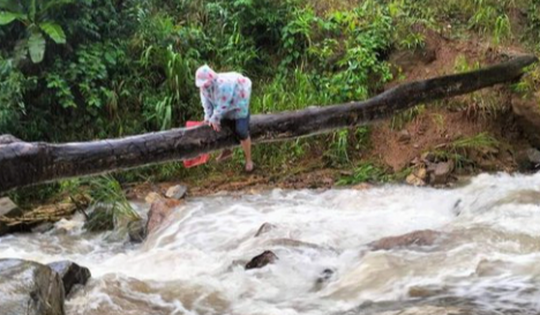 Cô giáo vùng cao Quảng Nam bám thân cây vượt suối đến điểm trường gây xúc động