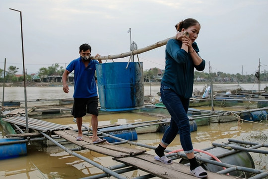 Vừa gồng gánh thiệt hại sau lũ, ngư dân ở Huế lại chạy đua với bão số 6