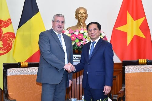 Bộ trưởng Bùi Thanh Sơn tiếp Bộ trưởng-Thủ hiến Chính phủ Cộng đồng người Bỉ nói tiếng Pháp Wallonie- Bruxelles Pierre-Yves Jeholet