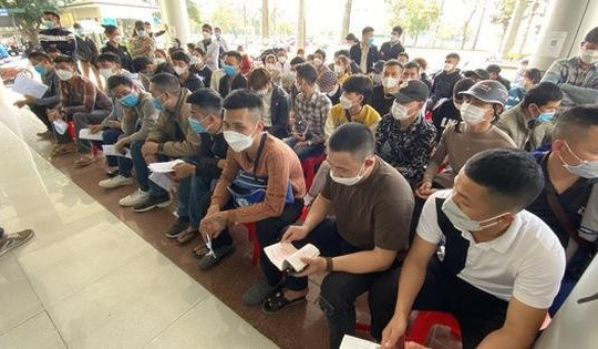 Hỗ trợ nhiều lao động Việt kêu cứu ở châu Phi