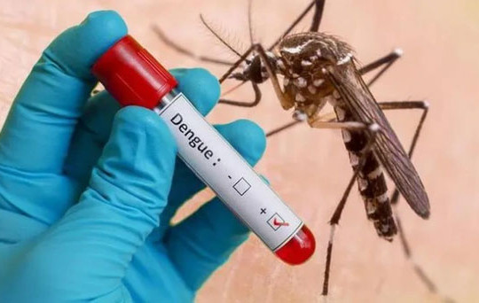 Dịch sốt xuất huyết lớn có nguy cơ xảy ra vào cuối năm 2022: Cảnh báo những đối tượng mắc sốt xuất huyết dễ bị trở nặng
