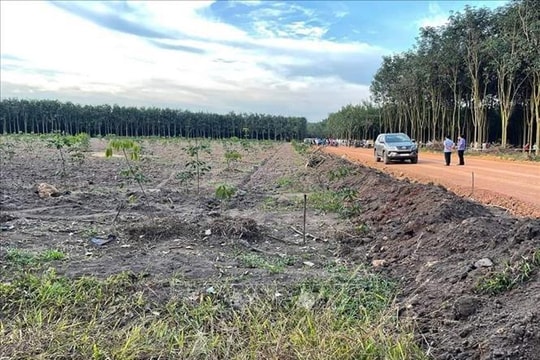 Điều tra vụ đập phá xe ô tô, dùng cuốc đánh chết chủ xe ở rẫy cao su