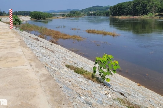 Dự án kè đầu tư 12 tỷ đồng vừa bàn giao đã hỏng