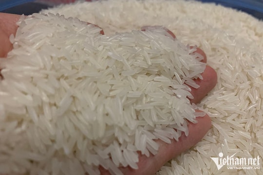 'Hạt ngọc' Việt bán được giá cao nhất, thu về gần 3 tỷ USD