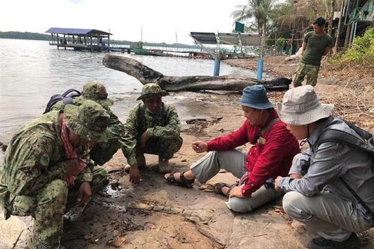 Campuchia phát hiện hóa thạch xương khủng long trên đảo Koh Por