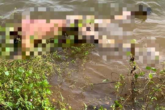 Phát hiện 2 thi thể  người mẹ và con gái sơ sinh ở Biển Hồ Pleiku