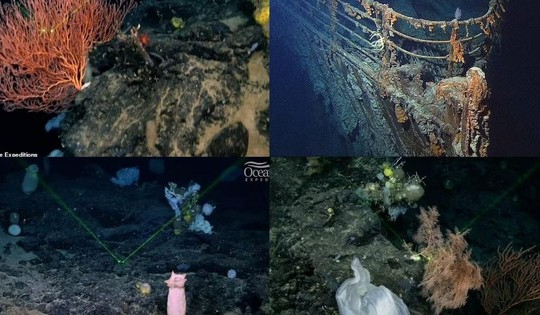 Sự thật choáng váng về hàng ngàn "hồn ma" cạnh xác tàu Titanic