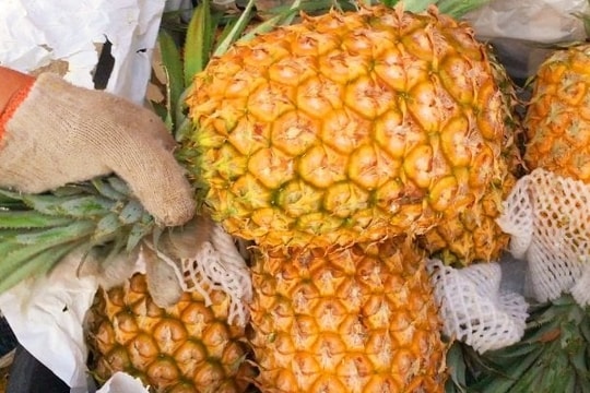 5 bí quyết giúp bạn chọn được dứa tươi ngon, ngọt lịm