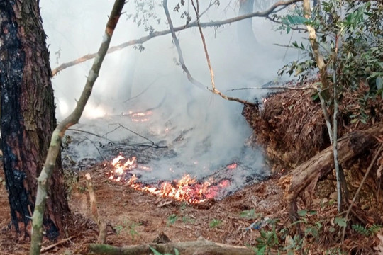 Hơn 350 người xuyên đêm chữa cháy rừng ở Hà Nội