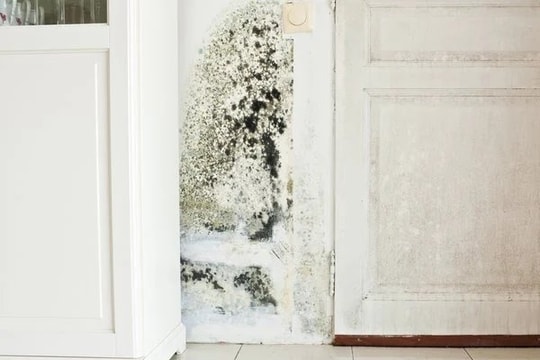 Cách xử lý tường nhà bị mốc đơn giản, ít tốn kém, không phải gọi thợ