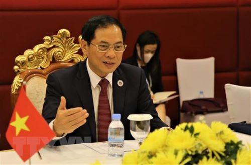 Bộ trưởng Bùi Thanh Sơn trả lời phỏng vấn về kết quả chuyến công tác Campuchia của Thủ tướng Chính phủ Phạm Minh Chính