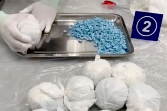Phát hiện 25kg ma túy trong kiện hàng quà biếu từ Đức, Mỹ về Việt Nam