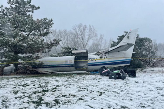 Máy bay rơi xuống sân golf, 53 chú chó sống sót