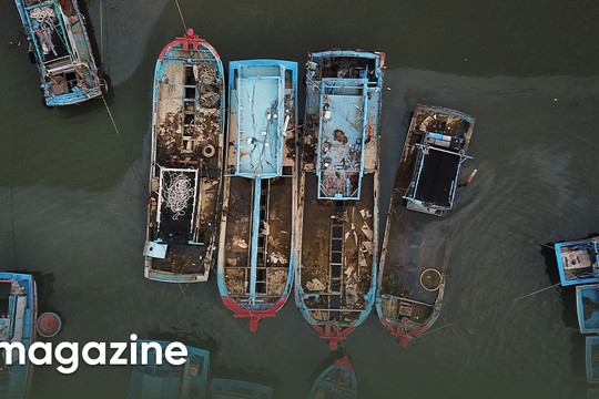 Những con tàu bạc tỷ mục nát, đặt dấu chấm hết cho làng tỷ phú tại  Quảng Ngãi